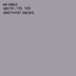#A19BA3 - Amethyst Smoke Color Image